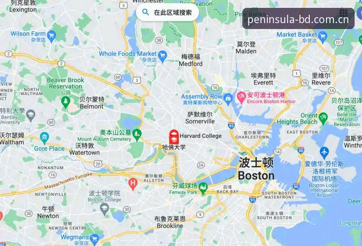 半岛官方平台深度评测：安全性与实际使用体验全面分析