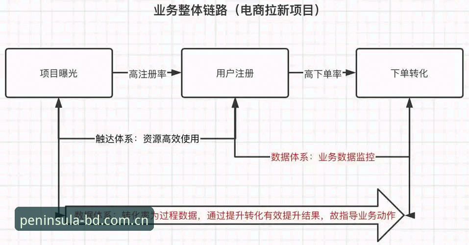 资深用户深度解析：足球反腐风暴下的决策智慧与半岛平台实战心得